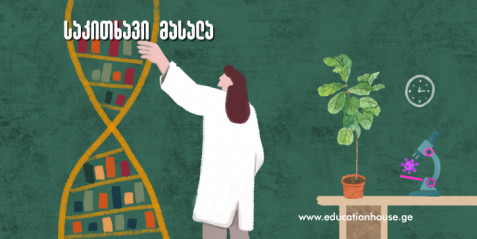 ნივრის ქიმია