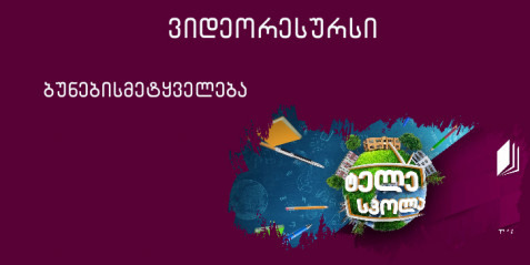 I-II კლასი - წელიწადის დროები