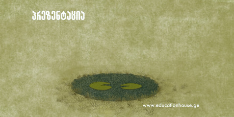 ჭაობები – მწვანე საუნჯე და ბუნების ჩუმი მცველები